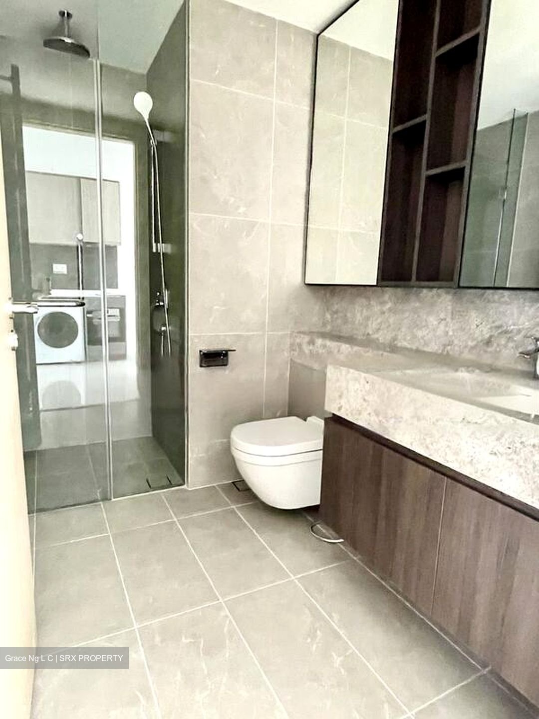 Verticus (D12), Apartment #456958621